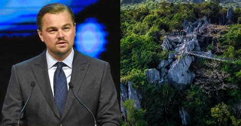 More celebs call for protection of Masungi .